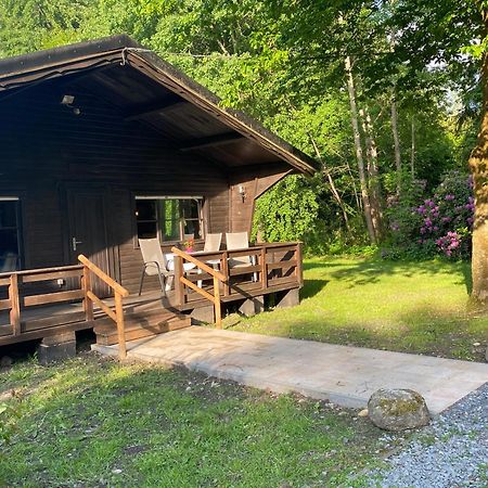 Heidegut Eschede Reitsportanlage Und Feriendorf Exterior foto