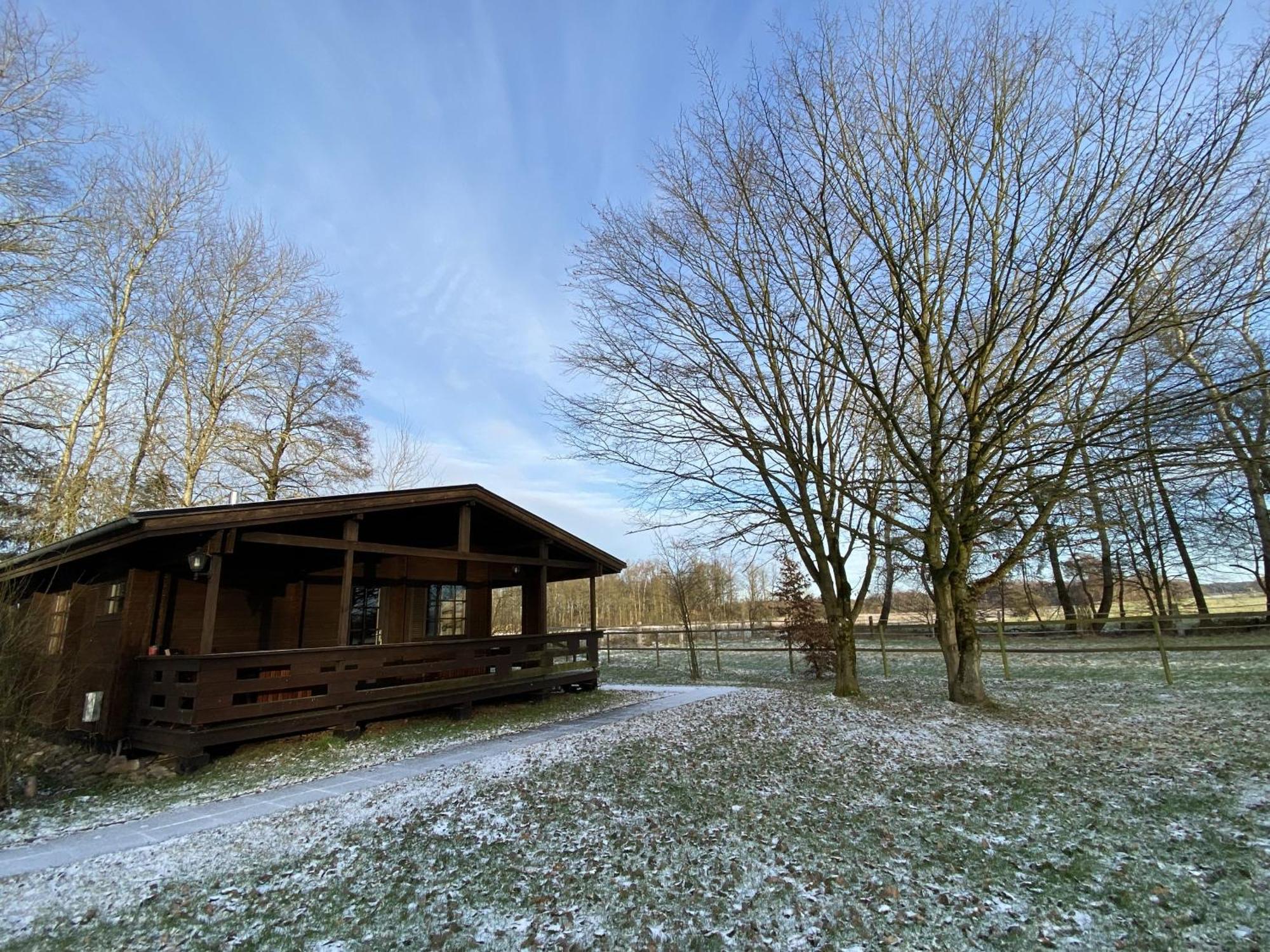 Heidegut Eschede Reitsportanlage Und Feriendorf Quarto foto