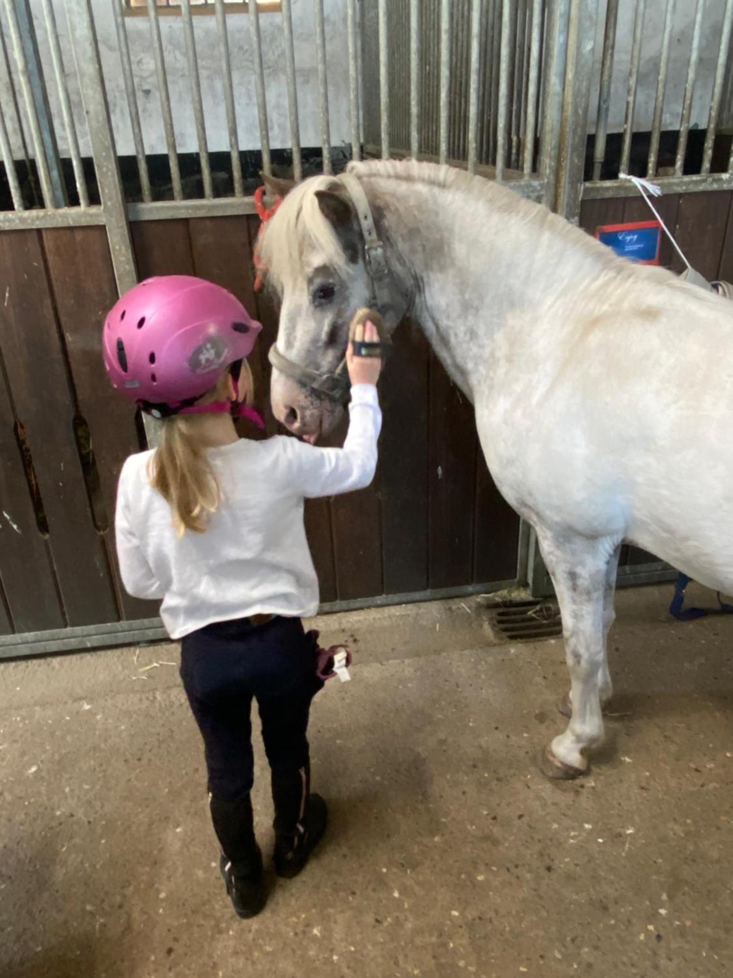 Heidegut Eschede Reitsportanlage Und Feriendorf Exterior foto