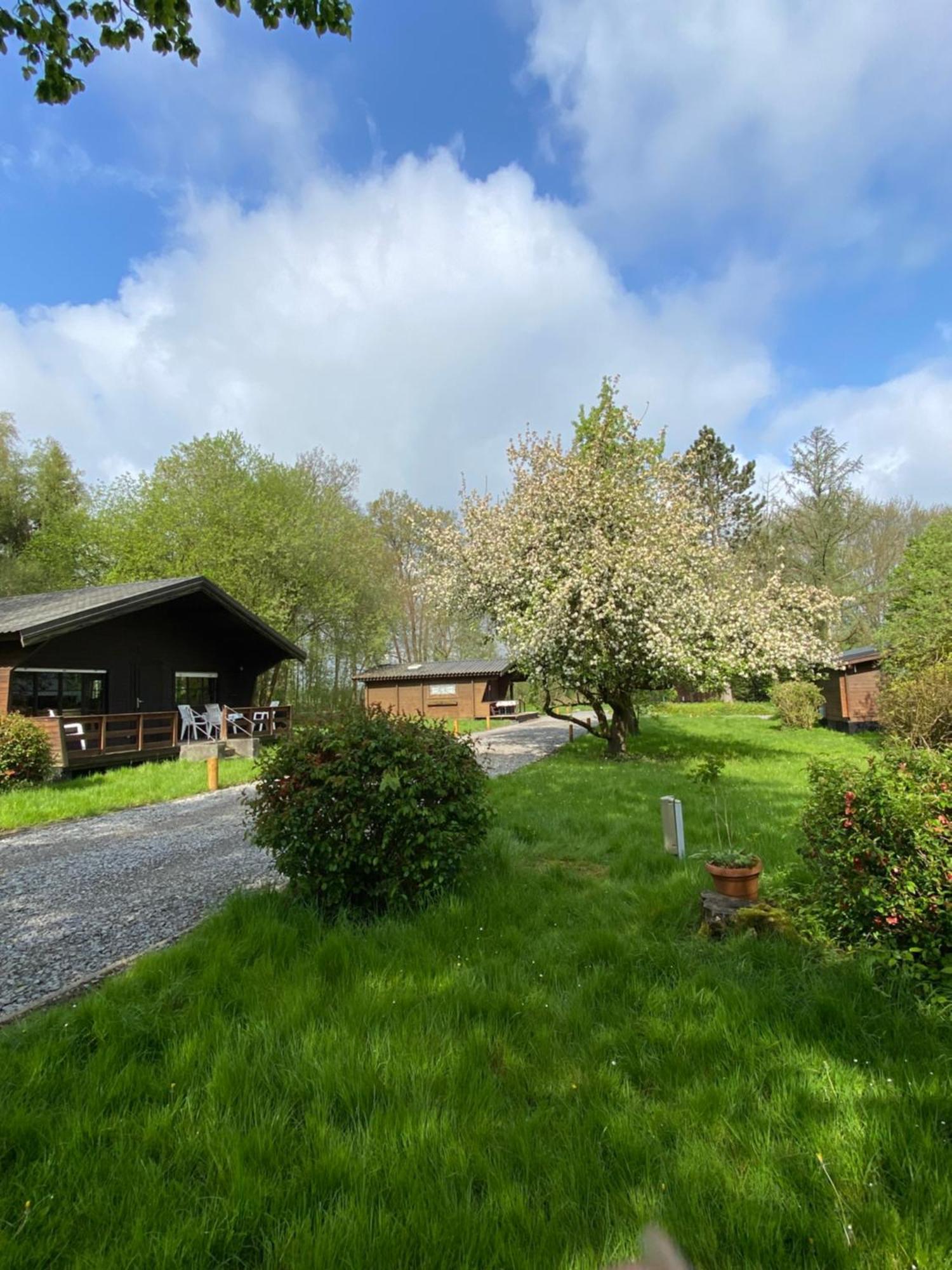 Heidegut Eschede Reitsportanlage Und Feriendorf Exterior foto